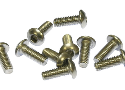 Panel Mounting Screws M3x8mm SS